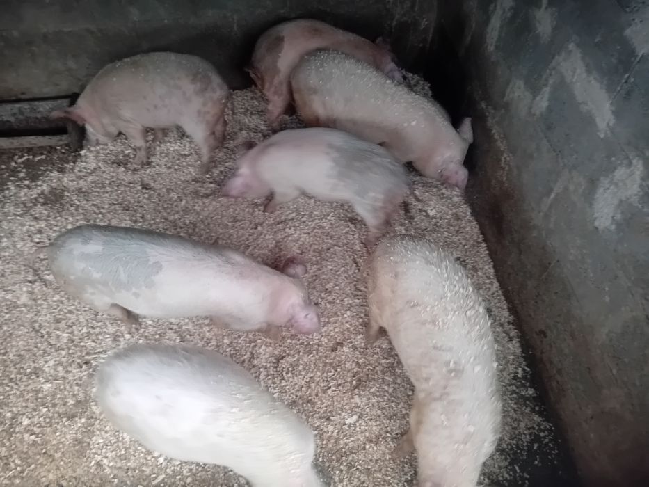 Schimba locatia.  Zero sapte 65031440