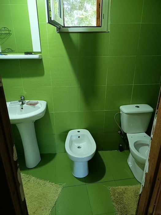 Vand casa la Tara
