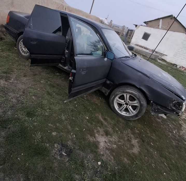 Жағдаиы орта жүмысы бар