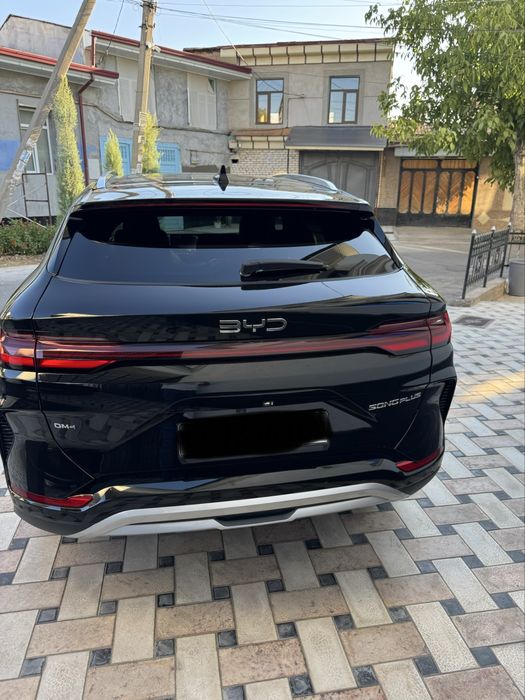 Byd chempion gibrit