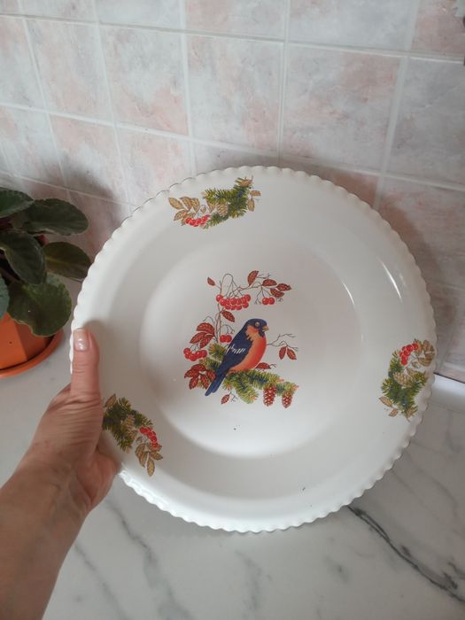 Подрос эмалированый
