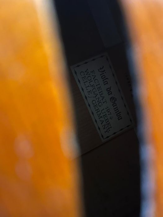 Viola da gamba , un instrument deosebit