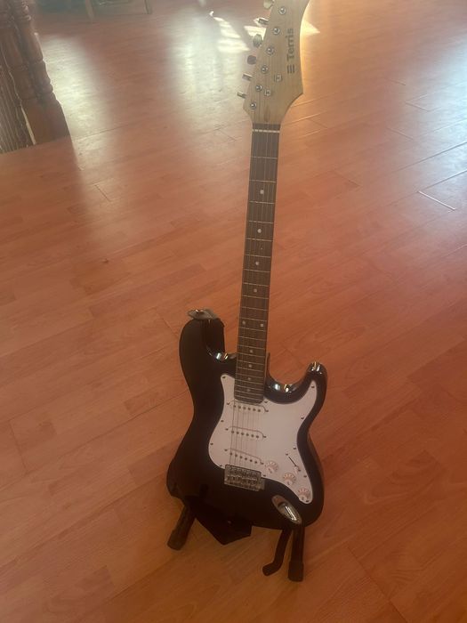 Электрогитара , Terris