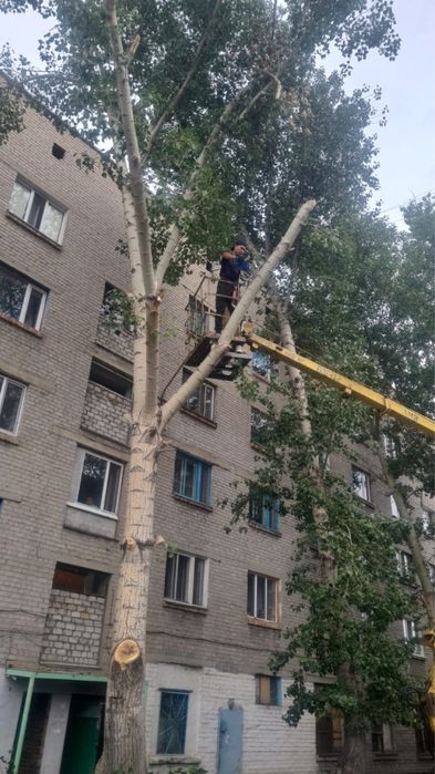 Спил деревьев любой сложности