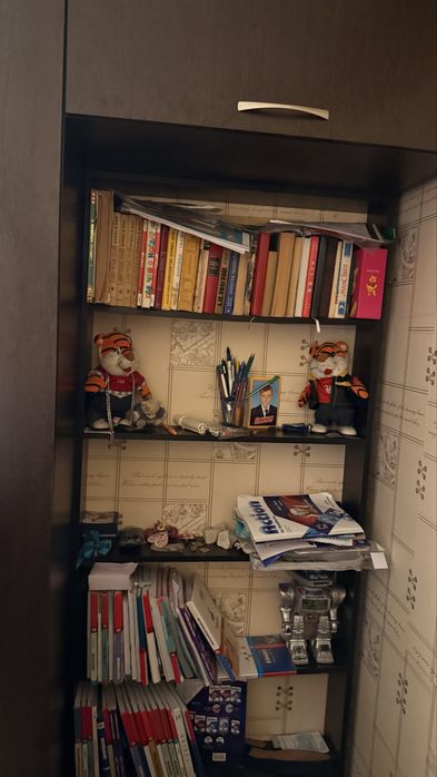 Продам шкаф с книжными полками
