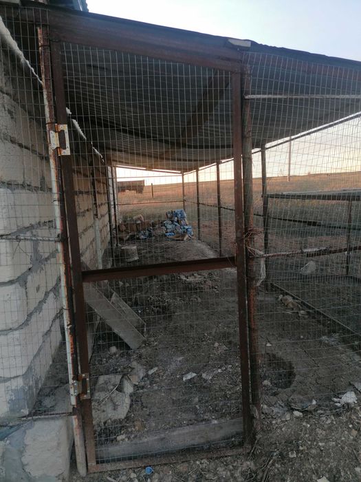 Продам дом в Родниковке