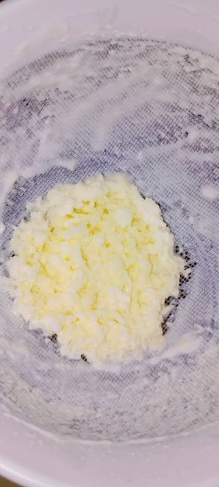 Ciupercă de kefir/chefir - 20 lei porția. Ridicare din București, sect
