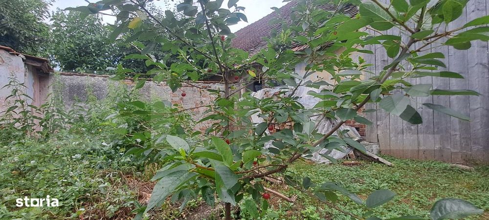 Proprietate cu farmec rural in Beclean, aproape de Fagaras - Beclean