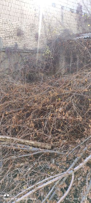 утин,дрова фруктовые ,дарахт, дераза