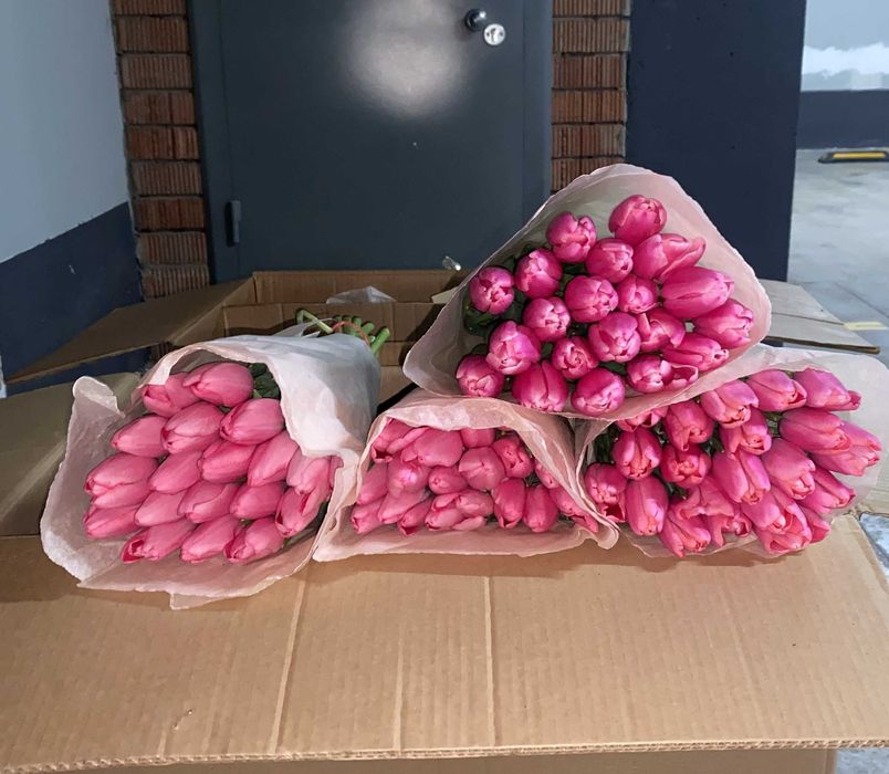 Склад Тюльпаны Голландия