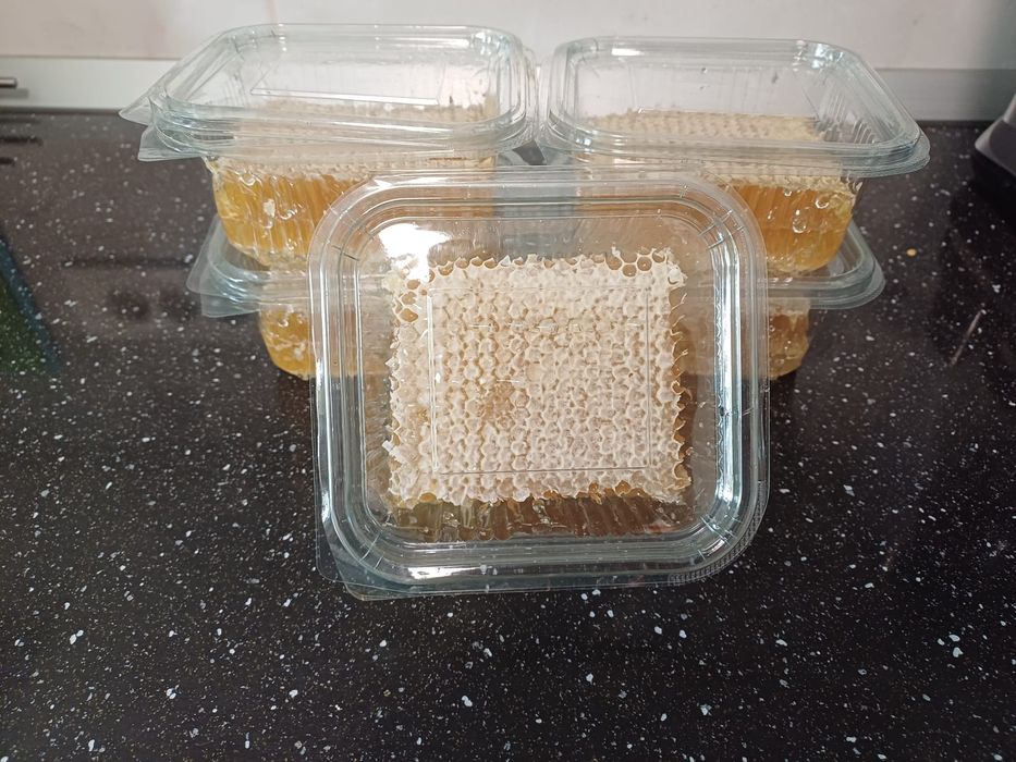 Miere naturala de salcam 2024, 1kg