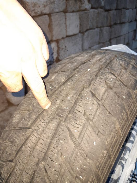 Зимние шины Treangel