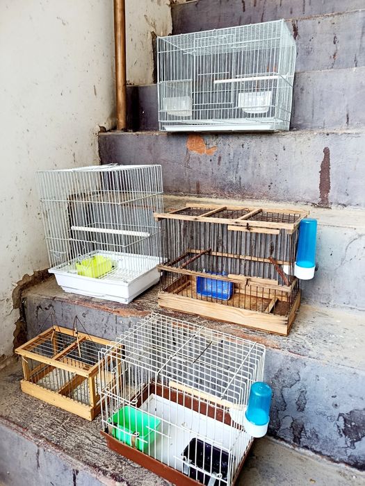 Qafas valer sotiladi