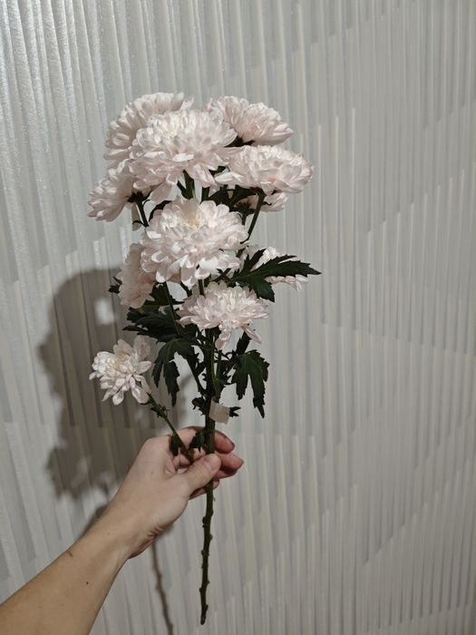 Букет хризантема цветы