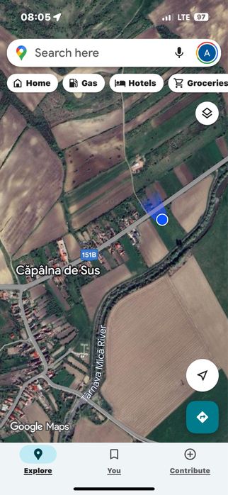 Plantație de coacăze negre de vânzare (afacere la cheie)