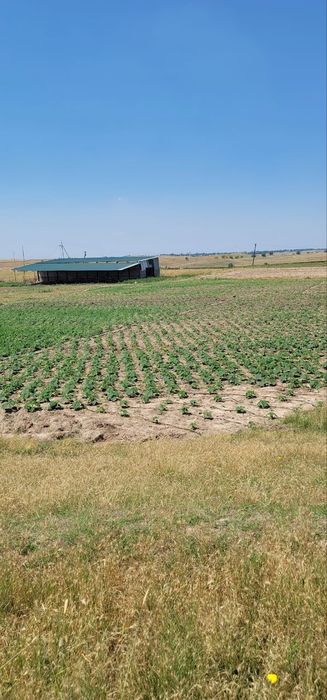 Assalomu alaykum chorvachilik fermasi sotiladi