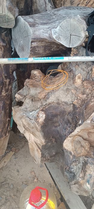 Дървен материал от Орех