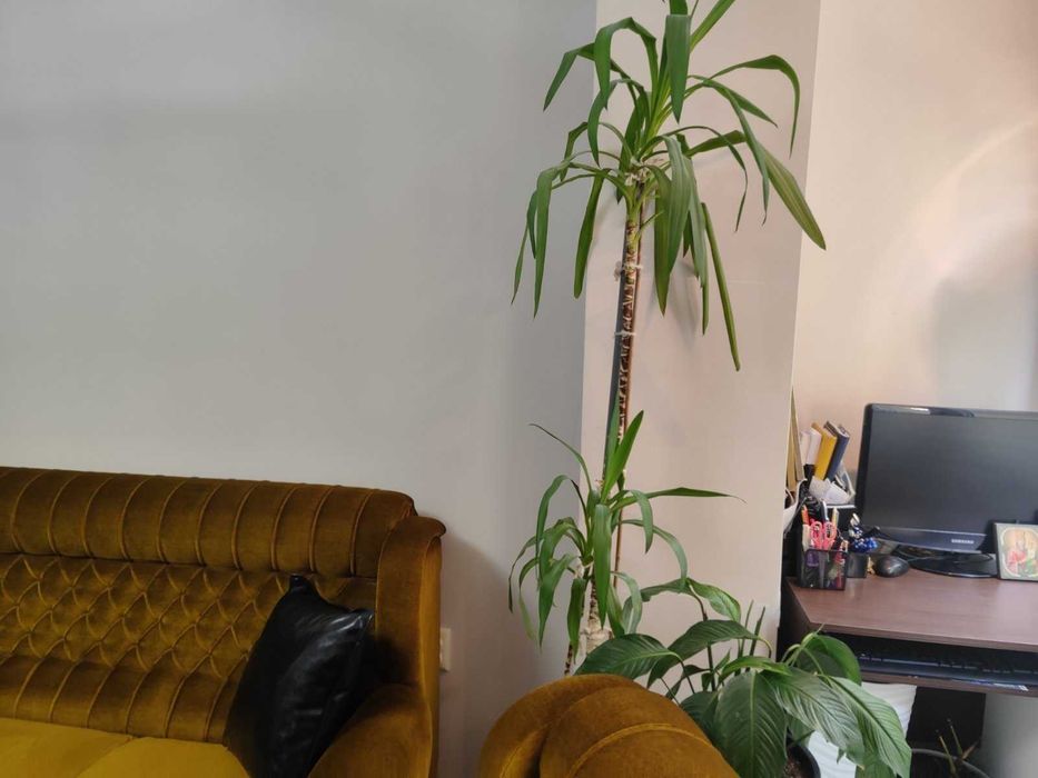 Продава се Тристаен апартамент в Варна, Център - 80 кв.м за 1613 €/кв.м - Снимка #5