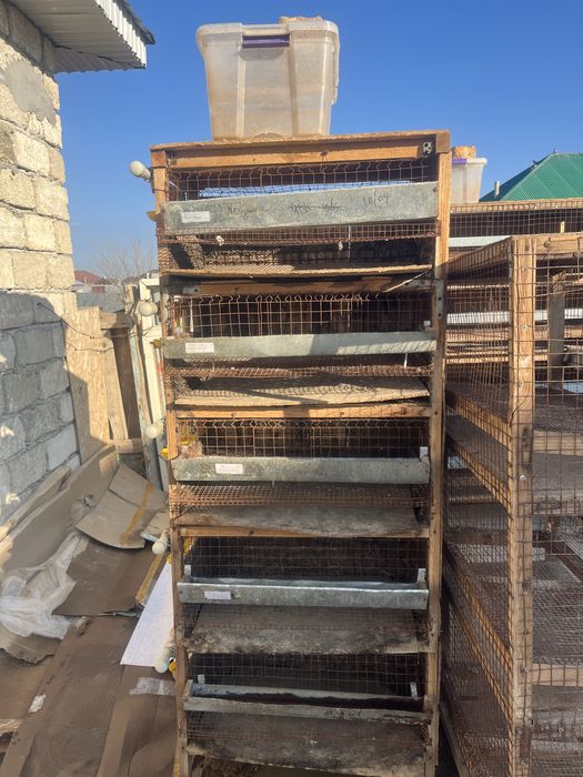 Бөдене асырауға клеткалар