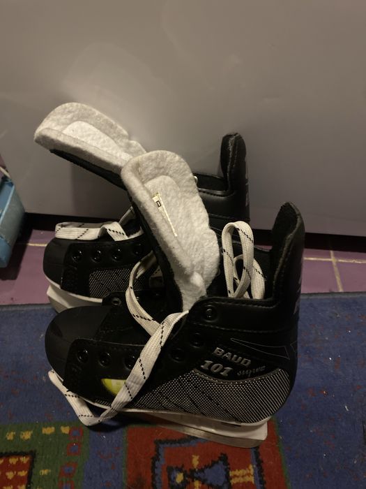 Коньки.                           .