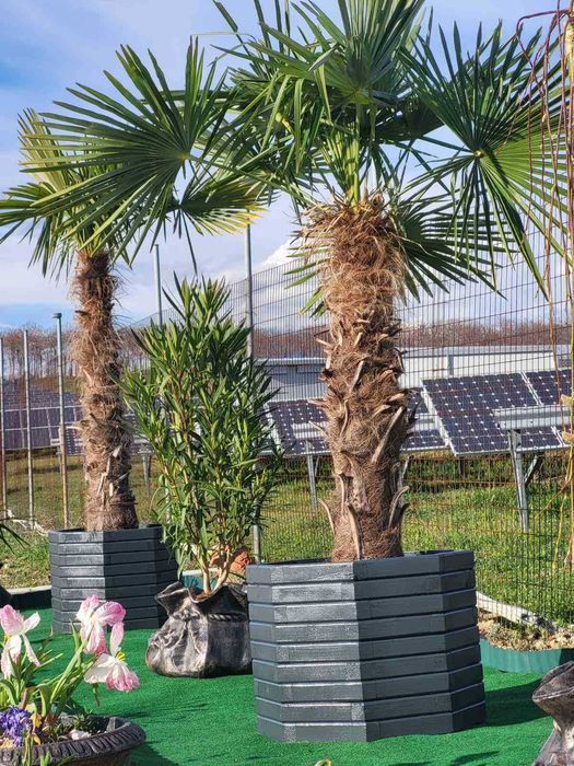 Дървени кашпи за цветя