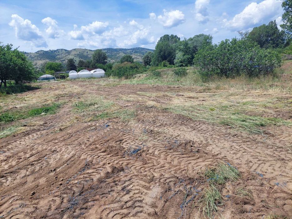 Дава се под наем Парцел в Сандански - 2500 кв.м за 800 € - Снимка #7