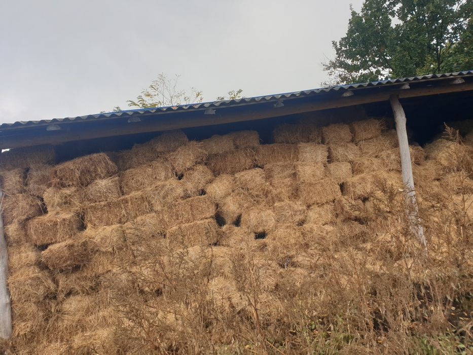 Vând baloti se lucerna a 2 si a 3 coasa