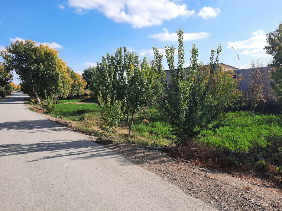 Тез ва зудликда Ховли куриш учун буш ер сотилади.