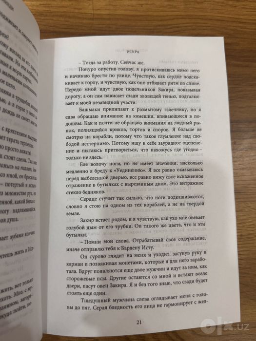 Книга «Искра» Рейвен Кеннеди.