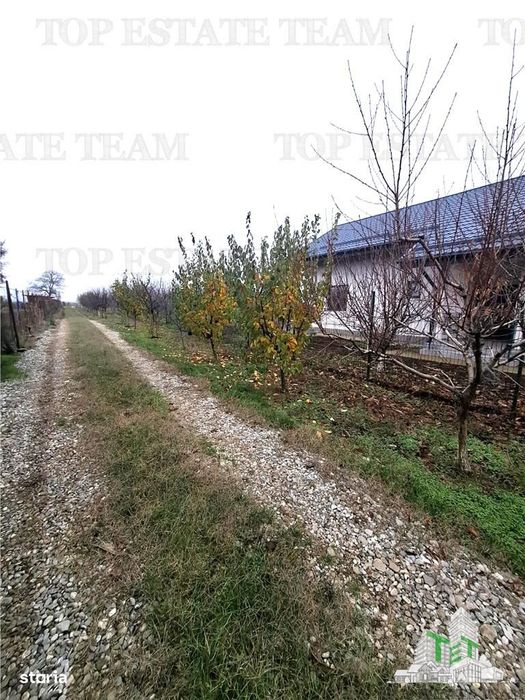 Teren Intravilan Moara Vlasiei 963 mp, Zona Superba,
