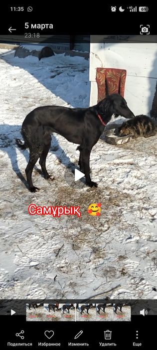 Үш жасар қаншық сатылады рабочи..