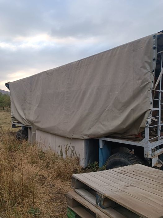 Пчелопавелеон  продам