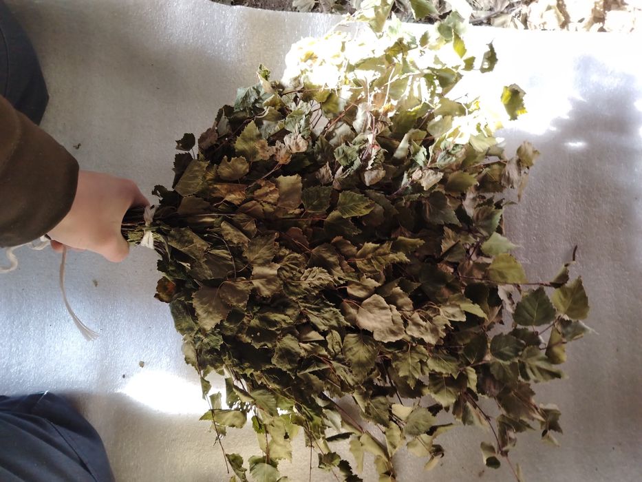 Продам банные веники