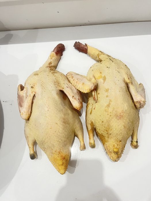 Индаутка тушка 3500 кг