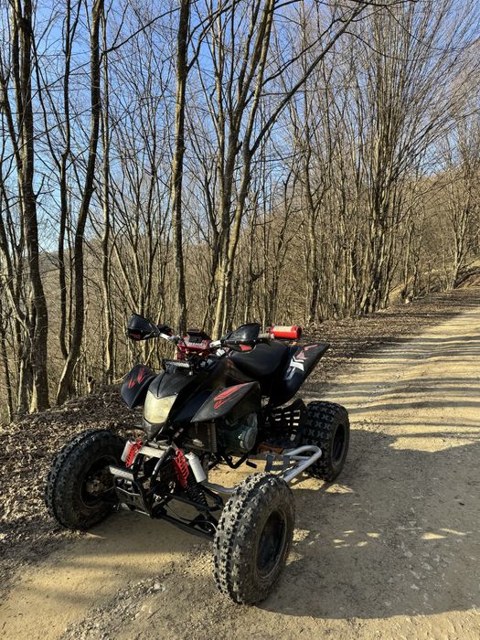 Vand atv bashan 250