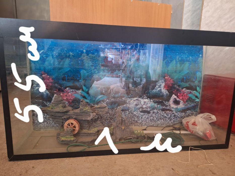 Аквариум сатылады