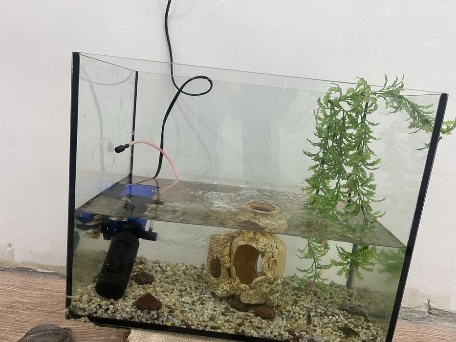 Аквариум сатылады