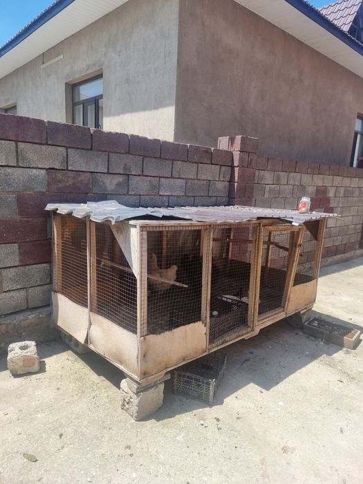 Дайын Қора сатылады