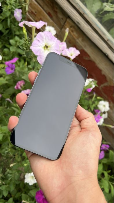 Iphone 12 pro 256gb/air pods pro