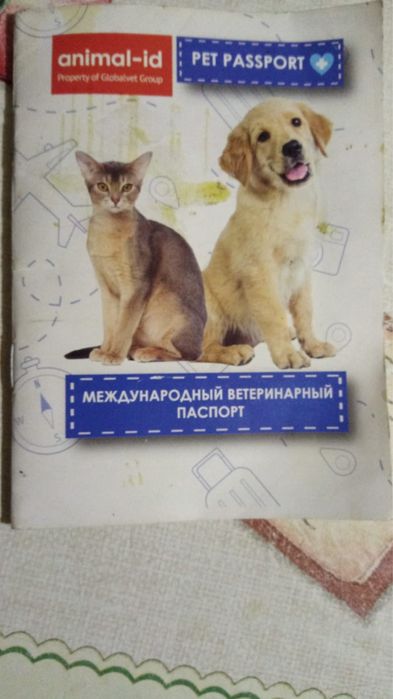 Продаётся собака породы кане-корсо