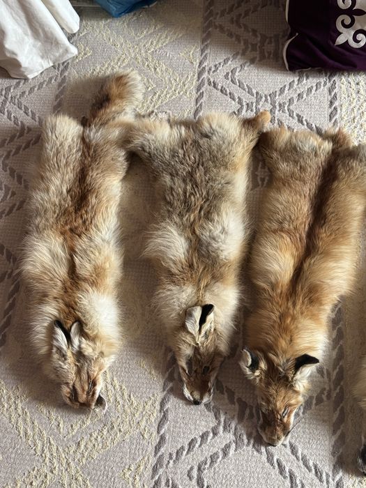 Түлкі мүсіні ( лиса) сатылады