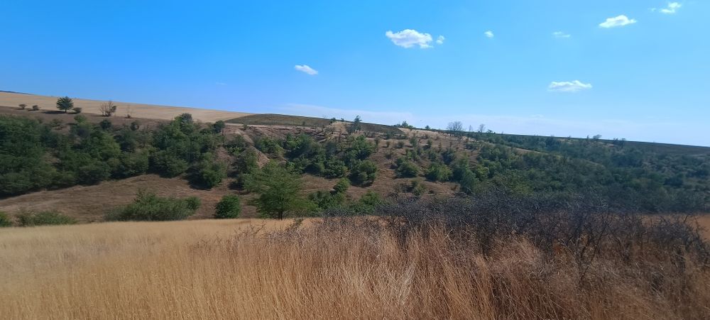 Teren la 12km, com Bucovăț