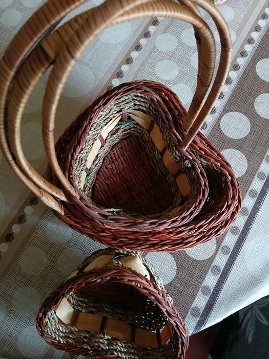 Нови панерчета- ракита