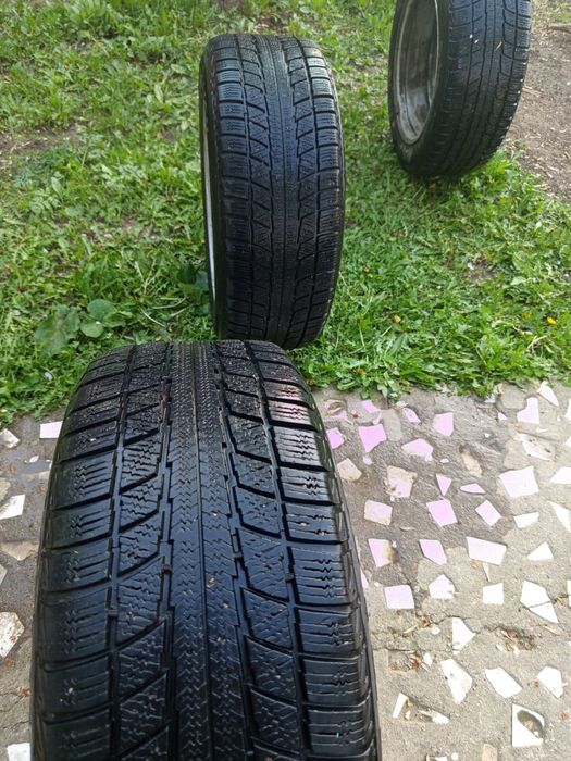 Резина с дисками Лупарь