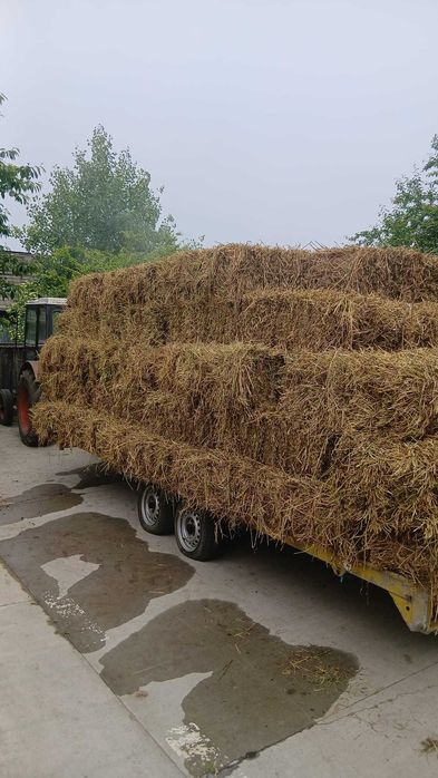 Baloti lucerna preț avantajos Gălănești
