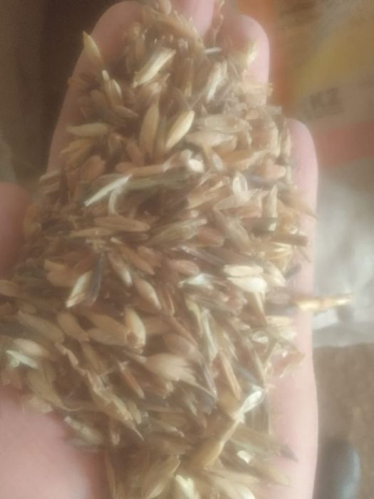 ОТХОДЫ Отруби Полова