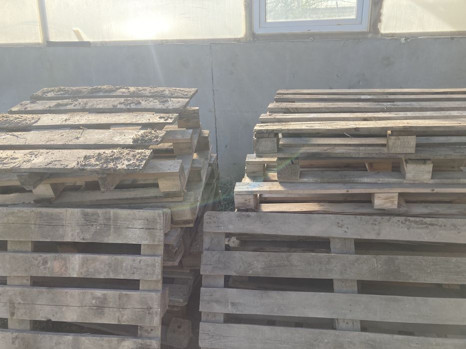 Поддоны штук 1000тг