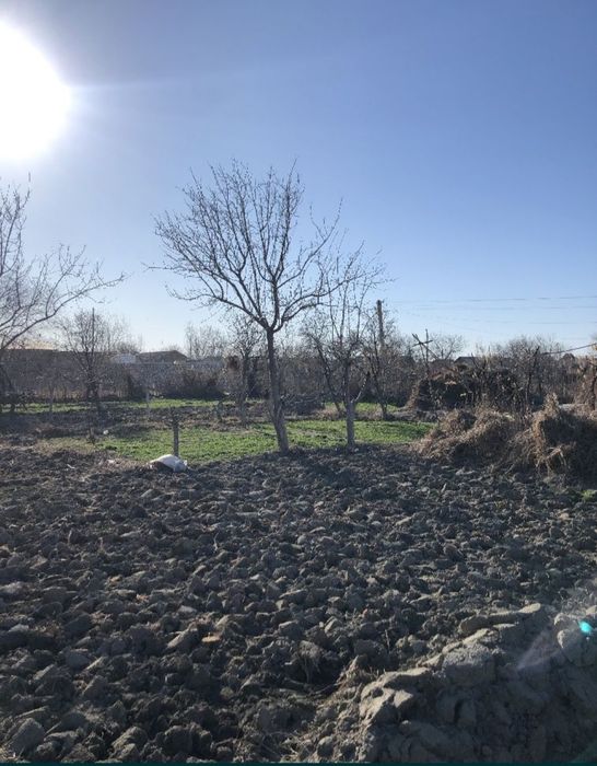 Zarafshon daryo sazanchik kafe oldi dachalari 6 sotiq shahardan 7km