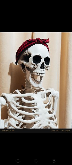Скелет череп человека 90см.