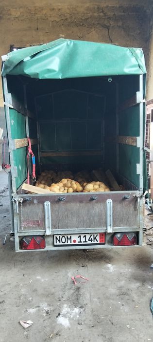 Remorca auto cu sistem de frânare